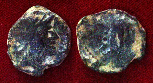 CI-24